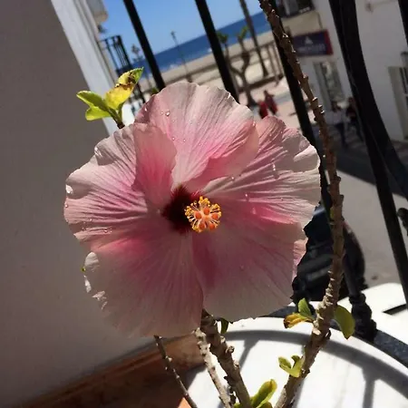 Apartamento Turistico En C/ Los Barquicos Carboneras